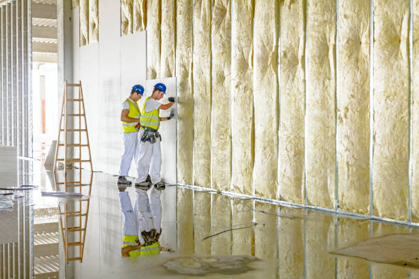 Types of Insulation We Offer in MD